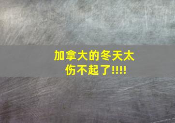 加拿大的冬天太伤不起了!!!!