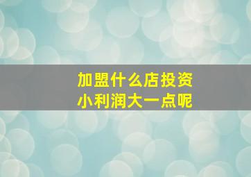 加盟什么店投资小利润大一点呢