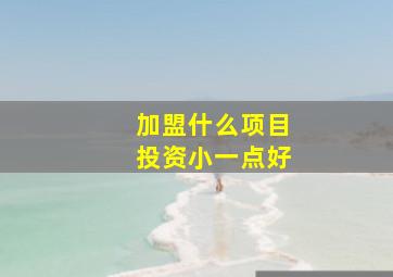 加盟什么项目投资小一点好