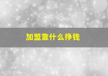 加盟靠什么挣钱