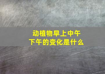 动植物早上中午下午的变化是什么