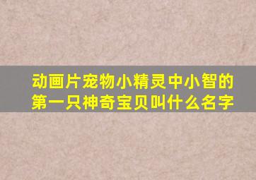 动画片宠物小精灵中小智的第一只神奇宝贝叫什么名字