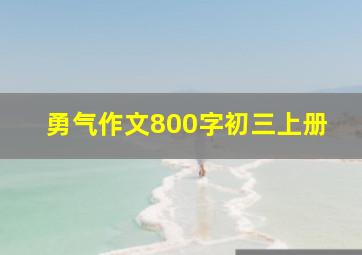 勇气作文800字初三上册