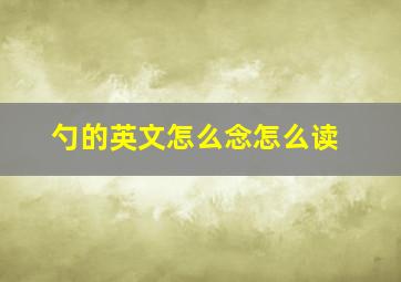 勺的英文怎么念怎么读