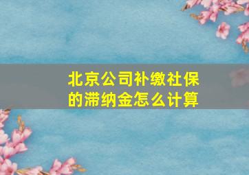 北京公司补缴社保的滞纳金怎么计算