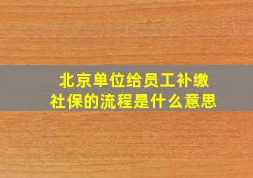 北京单位给员工补缴社保的流程是什么意思