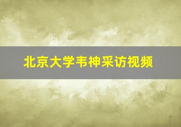 北京大学韦神采访视频