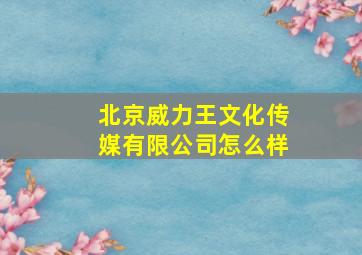 北京威力王文化传媒有限公司怎么样