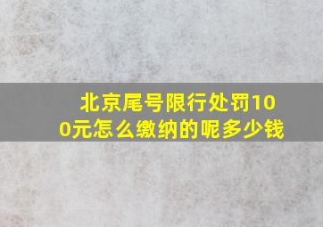 北京尾号限行处罚100元怎么缴纳的呢多少钱