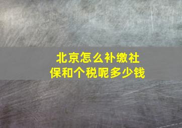 北京怎么补缴社保和个税呢多少钱