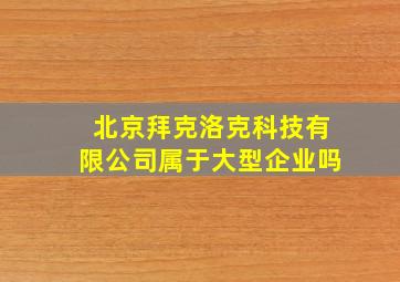 北京拜克洛克科技有限公司属于大型企业吗