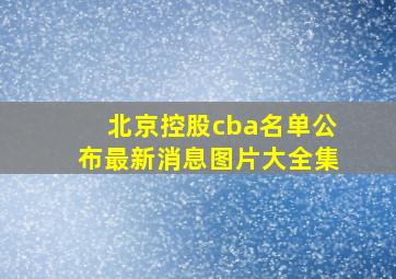 北京控股cba名单公布最新消息图片大全集