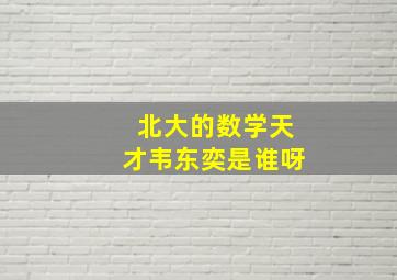 北大的数学天才韦东奕是谁呀