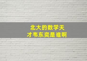 北大的数学天才韦东奕是谁啊