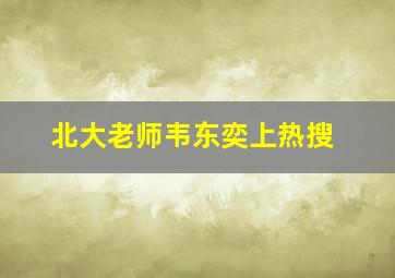 北大老师韦东奕上热搜