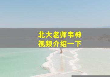 北大老师韦神视频介绍一下