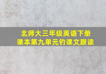 北师大三年级英语下册课本第九单元钓课文跟读