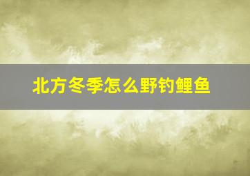 北方冬季怎么野钓鲤鱼