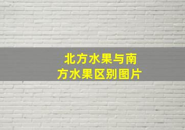 北方水果与南方水果区别图片