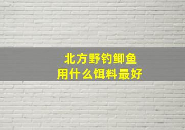 北方野钓鲫鱼用什么饵料最好