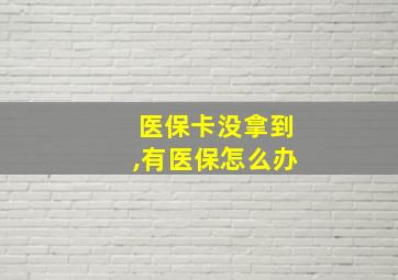 医保卡没拿到,有医保怎么办