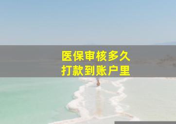 医保审核多久打款到账户里