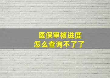 医保审核进度怎么查询不了了