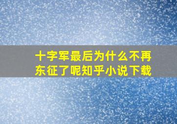 十字军最后为什么不再东征了呢知乎小说下载