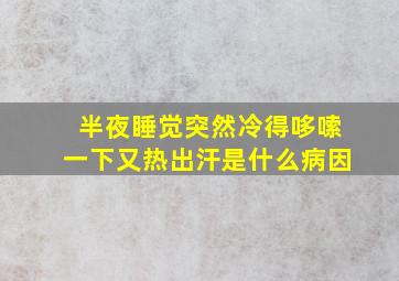 半夜睡觉突然冷得哆嗦一下又热出汗是什么病因