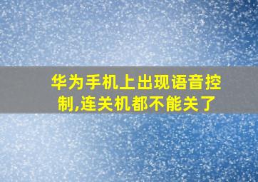 华为手机上出现语音控制,连关机都不能关了