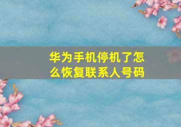 华为手机停机了怎么恢复联系人号码