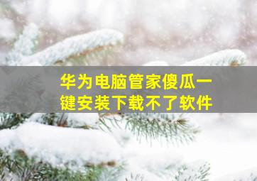 华为电脑管家傻瓜一键安装下载不了软件