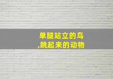 单腿站立的鸟,跳起来的动物