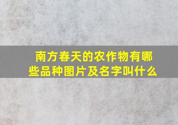 南方春天的农作物有哪些品种图片及名字叫什么