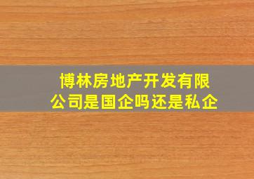 博林房地产开发有限公司是国企吗还是私企