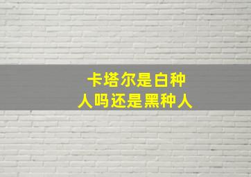 卡塔尔是白种人吗还是黑种人