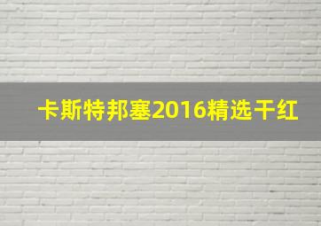 卡斯特邦塞2016精选干红