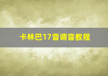 卡林巴17音调音教程