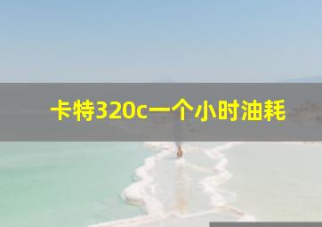 卡特320c一个小时油耗