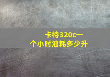 卡特320c一个小时油耗多少升