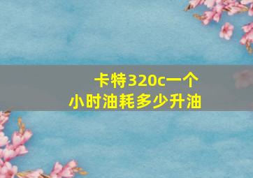 卡特320c一个小时油耗多少升油