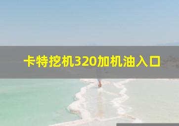 卡特挖机320加机油入口