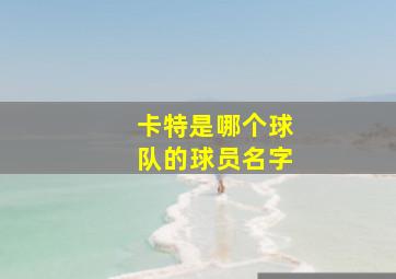 卡特是哪个球队的球员名字