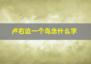 卢右边一个鸟念什么字