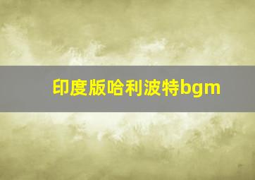 印度版哈利波特bgm