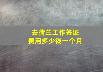 去荷兰工作签证费用多少钱一个月