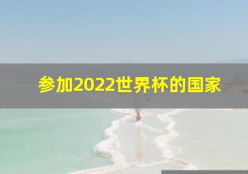 参加2022世界杯的国家