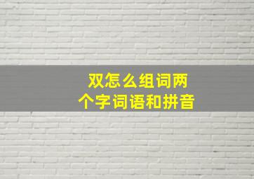 双怎么组词两个字词语和拼音