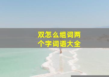 双怎么组词两个字词语大全