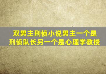 双男主刑侦小说男主一个是刑侦队长另一个是心理学教授